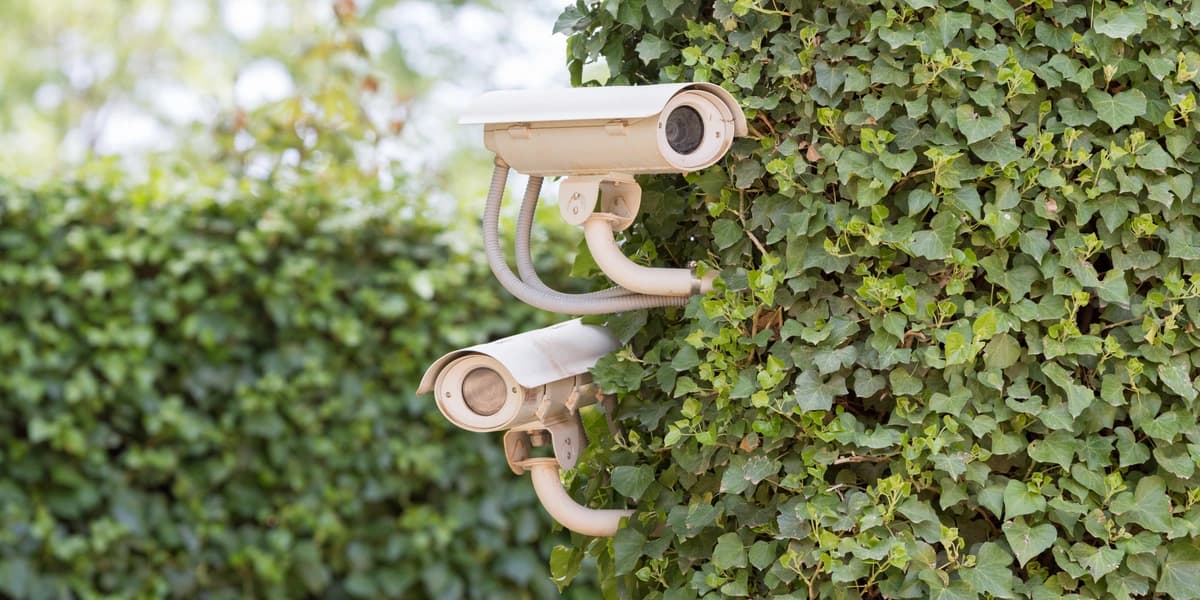 Outdoor smart security cameras monitoring a property