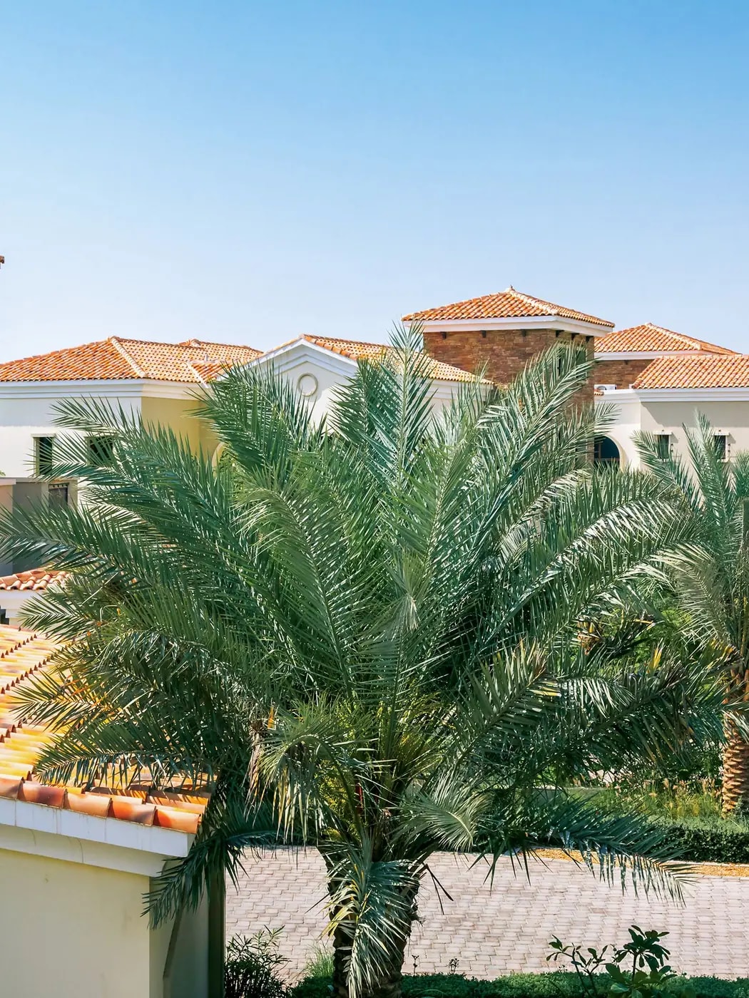Mediterranean-style Dubai villas with terracotta roofs and palm trees, the style of Arabian Ranches homes we automate