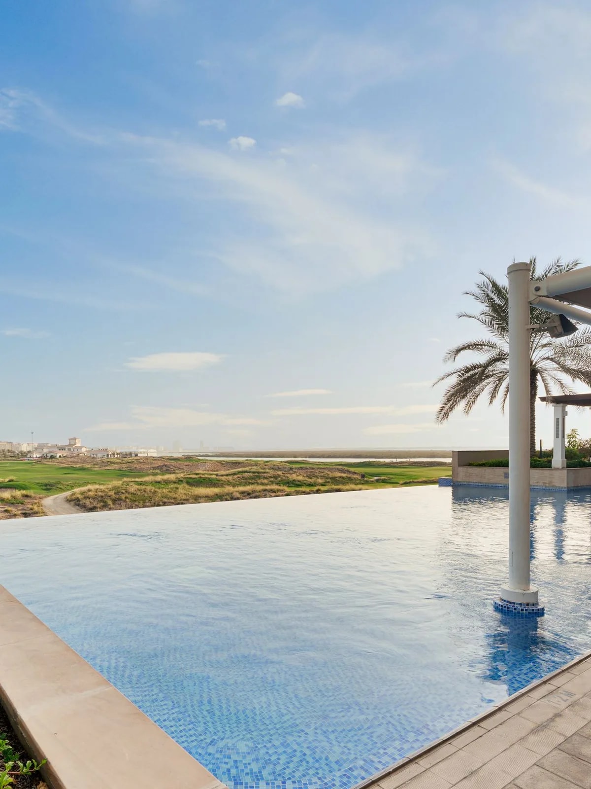 Infinity pool and palm facing open green land, like the Emaar South villas we automate