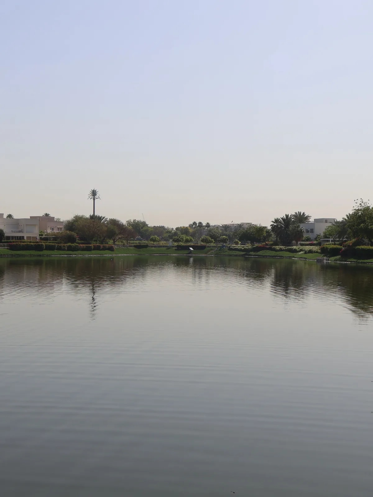 Calm lake with palms and low villas behind, like the lakeside homes we automate in The Lakes, Dubai