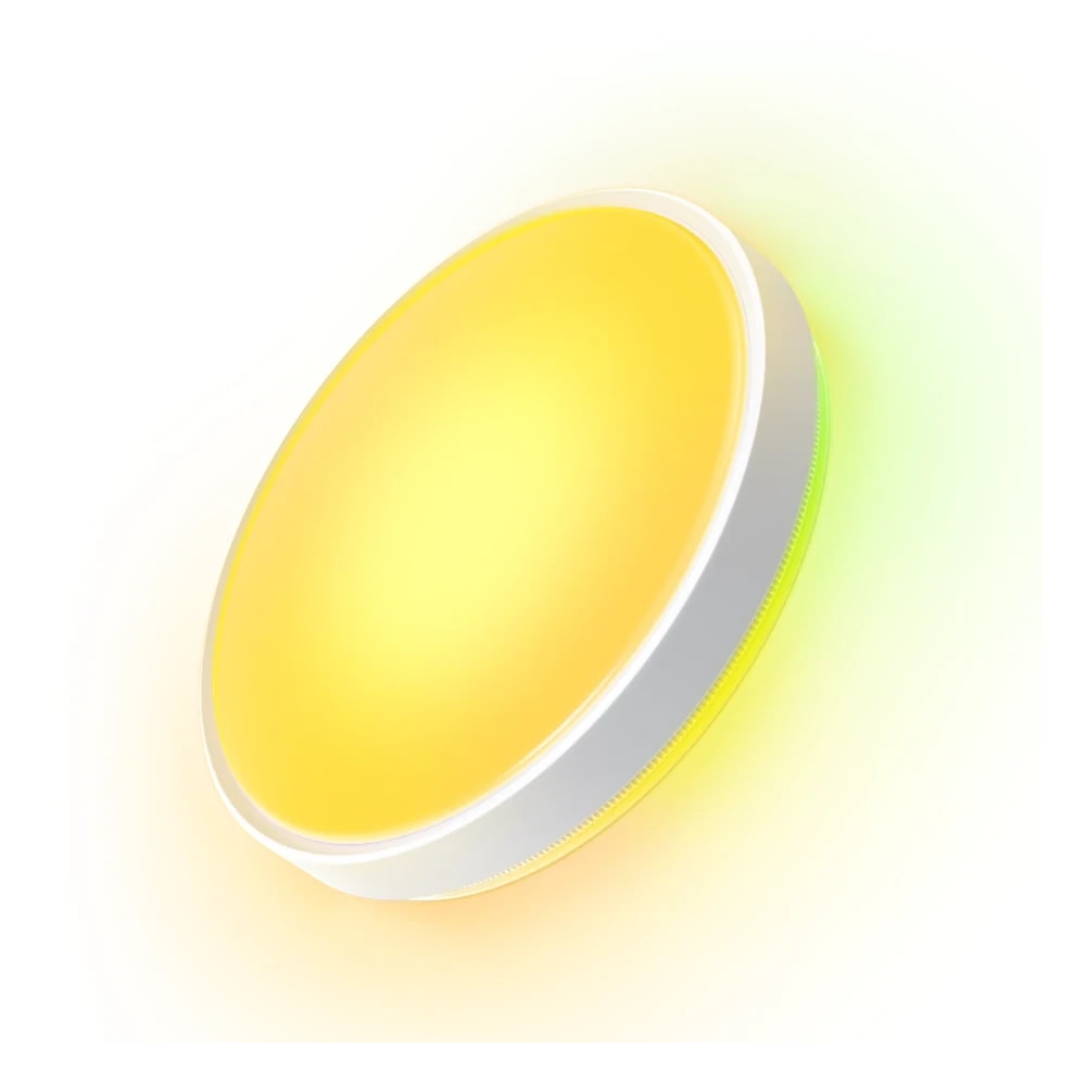 Govee Smart RGBICWW Ceiling Lights