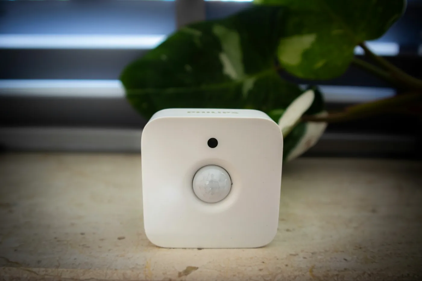 White home motion sensor standing on a stone window sill, with a leafy plant and window blinds behind it