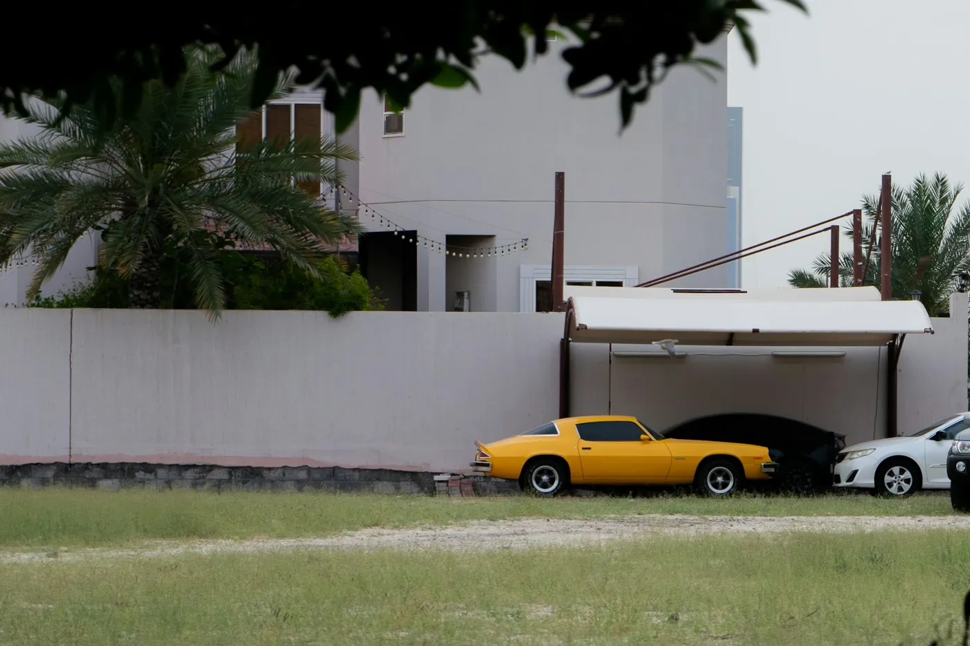 Villa behind a compound perimeter wall with palm trees in a Dubai neighbourhood