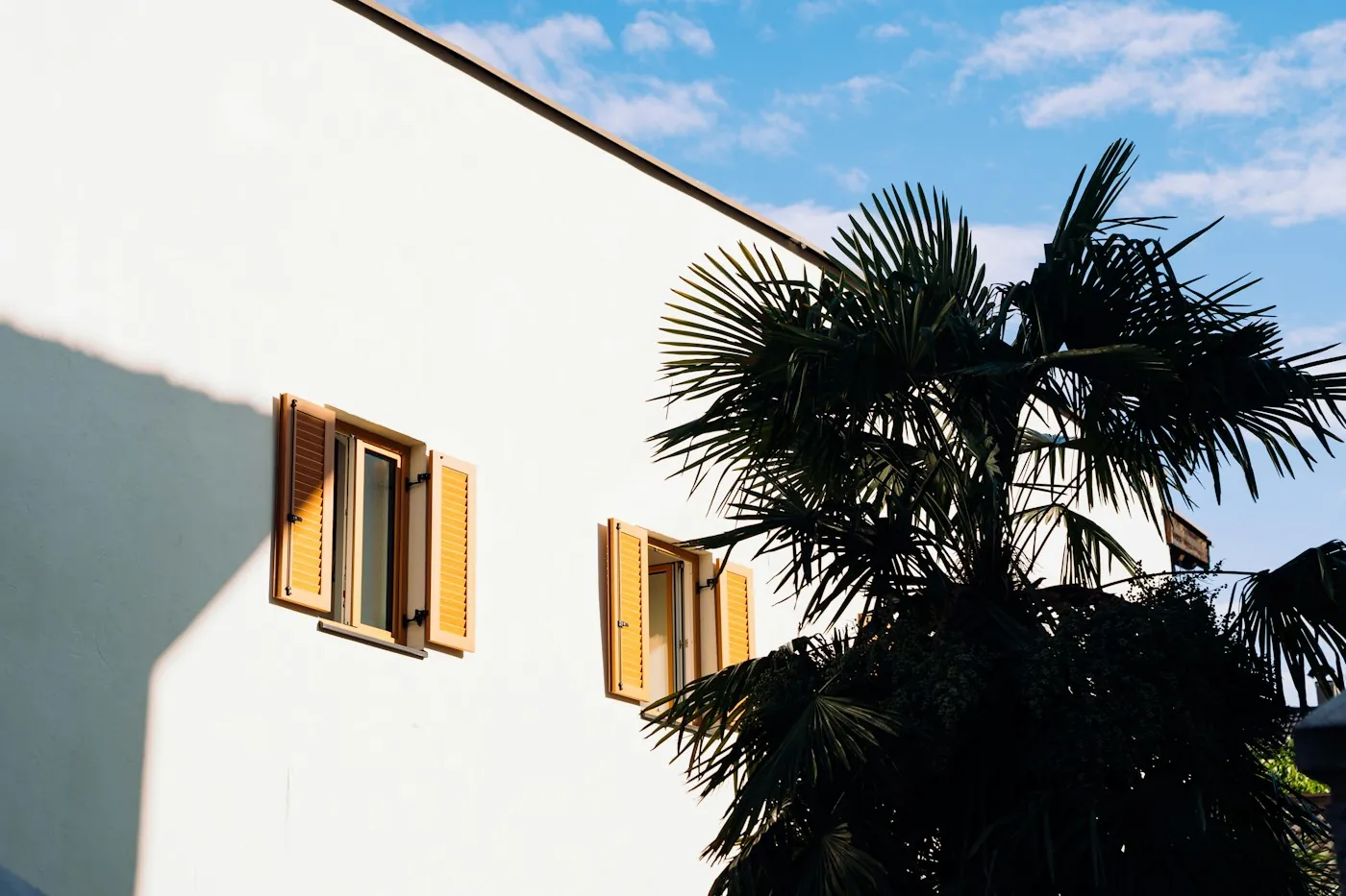 Bright sun hitting a white villa wall with closed window shutters beside a palm tree