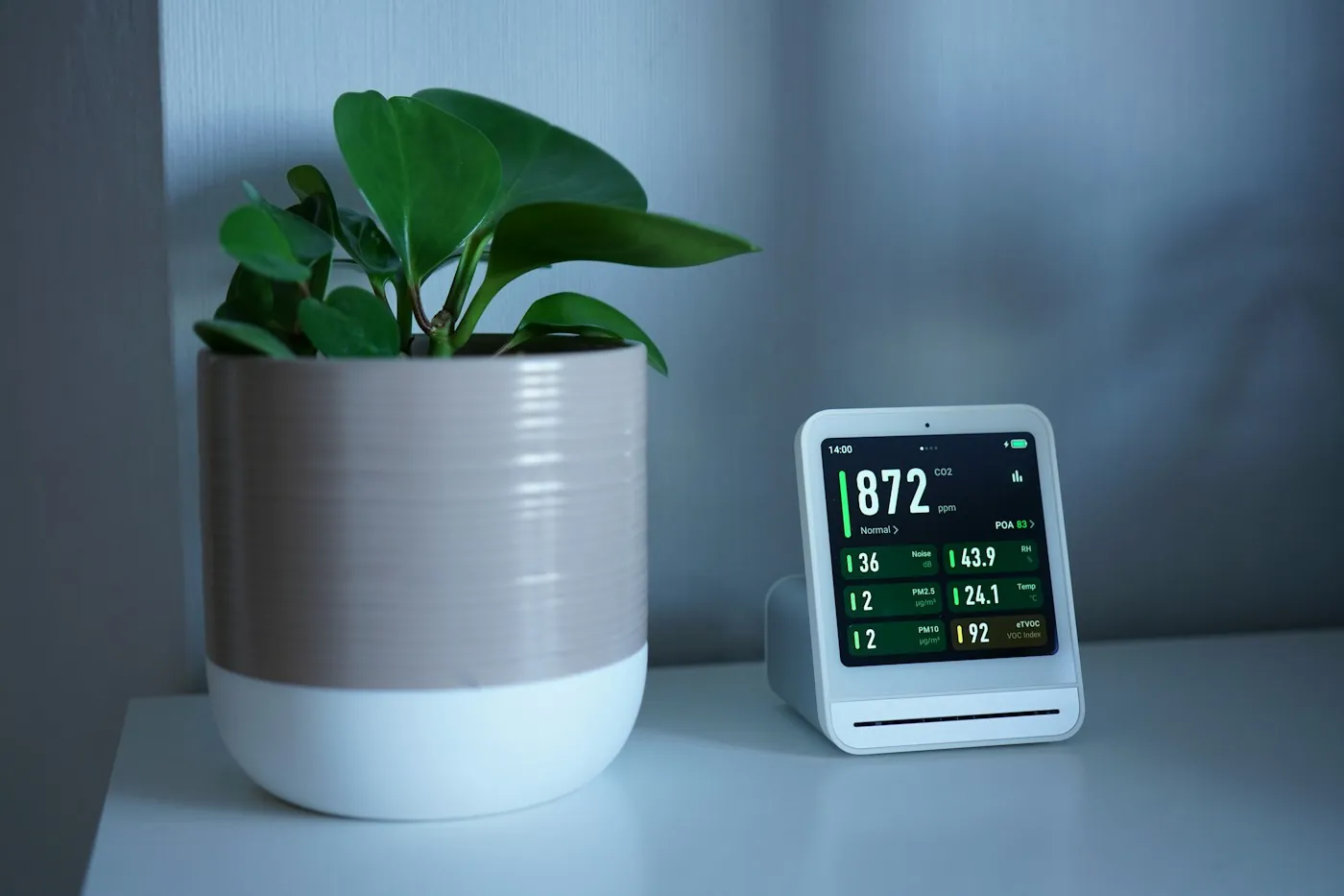 A countertop air quality monitor showing CO2, humidity, temperature and noise readings next to a houseplant