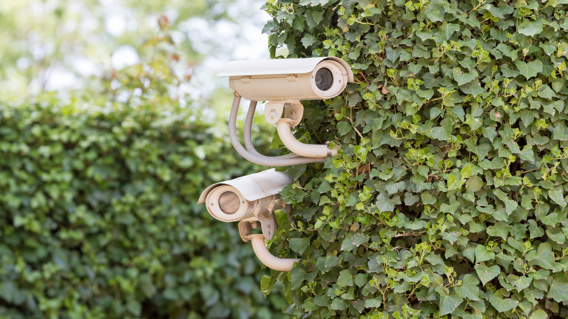 Professional wired CCTV and smart security system installed in a Dubai villa
